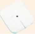 foam dressing Fenestrated